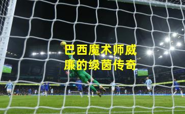 巴西魔术师威廉的绿茵传奇