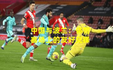 中国与波兰：体育赛场上的友好交锋