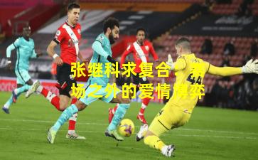 张继科求复合：赛场之外的爱情博弈