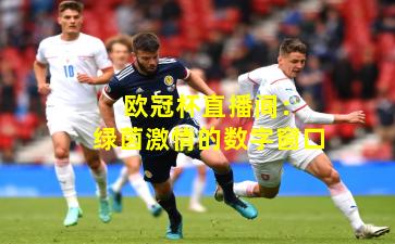  欧冠杯直播间：绿茵激情的数字窗口